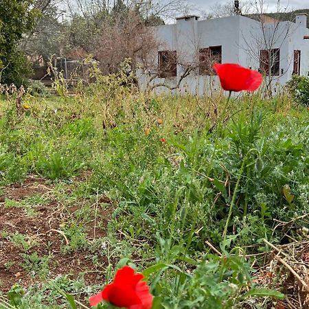 Villa Privee Reservee Aux Familles Aroggou Dış mekan fotoğraf