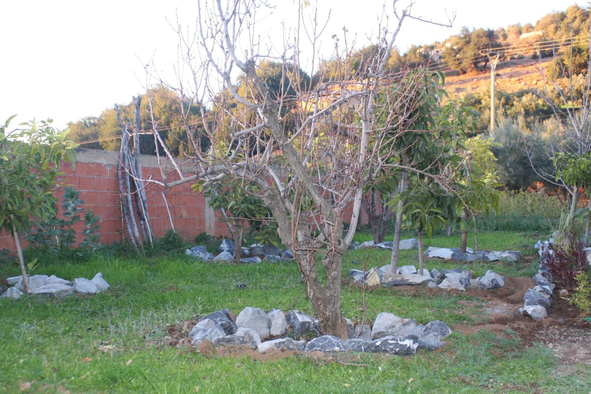 Villa Privee Reservee Aux Familles Aroggou Dış mekan fotoğraf